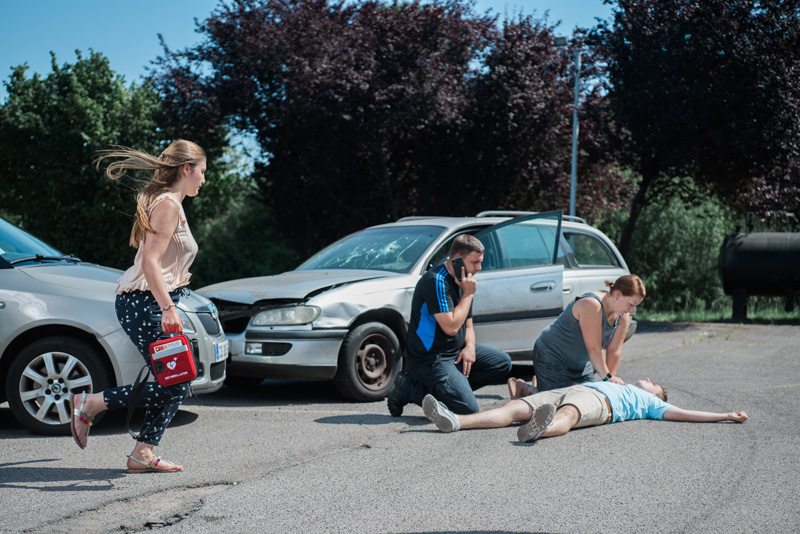 FRED easyport® plus